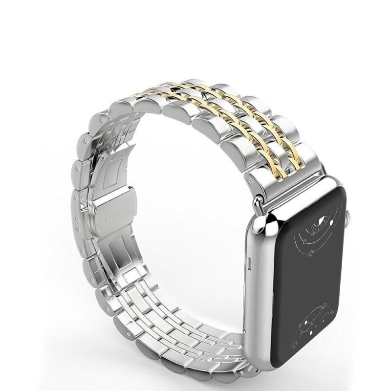 Sierra Stainless Steel Band + Case